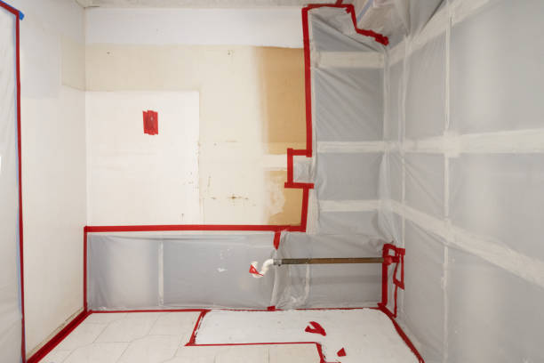 Professional Mold Removal in Lucedale, MS